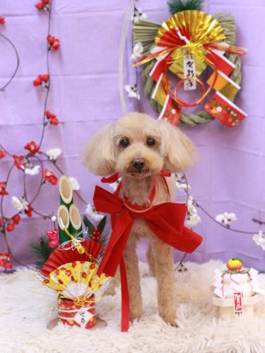 20230106菜々歌ちゃん